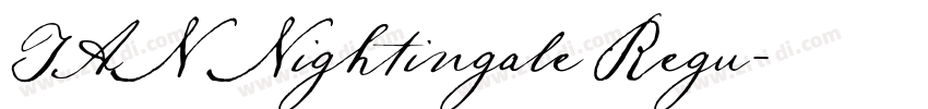 TAN Nightingale Regu字体转换